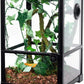 REPTI ZOO Amphibian Habitat Tank 10 Gallon, Full Vision Glass Reptile Terrarium 12" x 12" x 18", Vertical Reptile Tank with Deep Base & Top Screen Ventilation