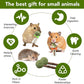 18-Pack Natural Alfalfa & Apple Wood Chew Lollipops for Small Pets - Healthy Dental Toys for Hamsters, Rabbits, Guinea Pigs, Chinchillas