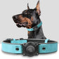 AirTag Dog Collar - Leather Dog Collar with Air Tag Holder | IPX8 Waterproof, Reflective, High - End, Adjustable Soft Padded | Dog GPS Tracker Collars Fit for Medium Large Dogs (Light Blue, M)