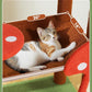 Mushroom Cat Tree Tower with Removable Scratcher, Large Hammock, Condo, Perch, 3 Sisal Posts – Multi-Level Cat Tree for Indoor Cats, Cute Cat Tower for Small Space Homes