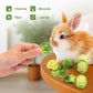 Abizoo Freeze Dried Brussels Sprouts Rabbit and Hamster Chew Treats Resealable Jar for Hamsters Bunny Guinea Pigs Groundhogs Natural Fiber Vitamin Snacks