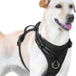 No Pull Dog Harness, Reflective Puppy Vest for Small Medium Large Sized Dog(Black,XL)