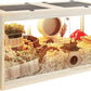 Prolee Hamster Habitat Chewproof,Wooden Hamster Cage with Openable Metal Mesh Top,Gerbil Cage with Lock Design for Hamster House (32"x16"x16")