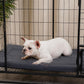 Made4Pets Dog Crate Pad Bed for Medium Dogs, Washable & Reversible, Anti-Slip Kennel Mat for Cozy Sleeping, Soft Fluffy Dog Bed for Indoor & Outdoor Use, 29"x21", Dark Gray