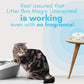 Cat Litter Deodorizer Jar (1 Fresh Scent and 1 Fragrance Free, 16 Oz, Pack of 2) - Cat Litter Odor Absorber Gel - Litter Box Pet Air Freshener - Litter Odor Eliminator to Freshen Air