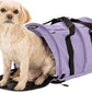 SturdiBag Pro 2.0 Pet Travel Carrier for Cats and Dogs | Soft Sided Pet Carrier Bag with Safety Clips and Seatbelt Straps for Car Travel | XL, Lavender