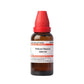 Dr. Willmar Schwabe India Triticum Repens Dilution