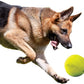Nerf Dog Rubber Ball Dog Toy with Squeaker, Lightweight, Durable and Water Resistant, 4 Inch Diameter for Medium/Large Breeds, Single Unit, Green