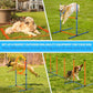 Dog Agility Training Equipment, 72-Piece Obstacle Course Training Starter Kit Indoor Outdoor Game for Dogs with Agility Hurdle, Jump Ring, Weave Poles, Pause Box, Toy Balls and Storage Bag