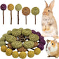 Fhiny Rabbit Chew Toys, 30 PCS Natural Bunny Lollipop Chew Sticks Handmade Guinea Pig Molar Treats for Teeth Small Animals Snacks for Guinea Pig Bunny Chinchilla Hamster Gerbil Teeth Care