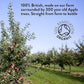 Willy's Organic ACV Apple Cider Vinegar with Mother - Probiotocs for Detox and Gut Health