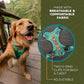Wilderdog Lightweight Dog Harness with Reflective Straps - Small - Seafoam