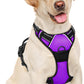 BARKBAY No Pull Dog Harness Large Step in Reflective Dog Harness with Front Clip and Easy Control Handle for Walking Training Running(Purple,L)