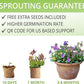 Wildflower Seed Mix Growing Kit - Includes Perennial & Annual Wild Flowers, Burlap Planters, Soil, Wooden Box, and Gardening Tools for Indoor Garden and Patio Planting