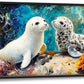 Extra Large Seal Framed Wall Art for Living Room,Oversized Underwater Animal Pictures Wall Decor,Ocean Coral Reef Canvas Print Painting Modern Artwork Bedroom Office Bathroom 60L" x 30W"