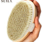 Dry Brushing Body Brush SCALA Natural Bristle Body Brush, Soft Body Exfoliating Brush Scrub for Dead Skin, Cellulite, Lymphatic Drainage, Blood Flow – Thicker & Stronger Medium Strength