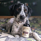 Hemp Well Thrive Oil for Dogs and Cats – Supports Hip, Joint, and Heart Health, Promotes Immune System, and Promotes Healthy Skin from Seasonal Allergies, Organically Sourced - 8 Ounces
