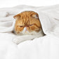 Bedsure Fleece Throw XL Blanket White - 300GSM Soft Lightweight Plush Cozy Blankets for Bed, Sofa, Couch, Travel, Camping, 50x70 inches