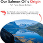 Brilliant Omega 3 Salmon Oil for Dogs & Cats - Norwegian Fish Oil Supplement with EPA & DHA Fatty Acids for Shedding, Allergy, Itching, Dry Skin & Joint Health - Skin and Coat Fish Oil Liquid, 40 Oz