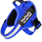 PawPawify Custom No Pull Dog Harness with Name and Phone Number, Heavy Duty Personalized Pet Vest to Prevent Tugging, Pulling, or Choking, Training and Walking (New Blue, S (10-19LBS))