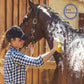 Horse Grooming Kit (12-Piece): Brushes, Storage Bag, Sweat Scraper, Mane Comb, Grooming Gloves, Horse Gift for Girls (Black)