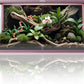 120 Gallon Reptile Terrarium, 48" x 24" x 24" Reptile Enclosure with Sliding Door Top Screen Ventilation,Blue Tongue Skink Tank for Easy Maintenance