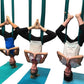 F.Life Aerial Silk Yoga Hammock & Swing for yoga Inversion,Strength training,starter hardware kit