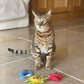 YEOWWW Catnip Cat Toy for Indoor and Outdoor Cats -Premium Quality Strong Catnip Toys for Cats (1x Crinkle Catnip Toy Sun 1 x Moon 1x Star)