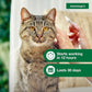 Advantage II Large Cat Vet-Recommended Flea Treatment & Prevention | Cats Over 9 lbs. | 1-Month Supply