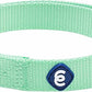 Blueberry Pet Essentials Small Dog Collar in Pastel Green | Adjustable & Eco-Friendly Durable Nylon Strap | Classic Collar for Small Dogs, Boy & Girl Pets