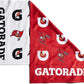 Gatorade Tampa Bay Buccaneers Towel