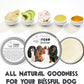 The Blissful Dog Cavalier King Charles Spaniel Nose Butter, Versatile Dog Nose Balm for Dry Nose, Handcrafted Nose Moisturizer, Easy-to-Apply Dog Essentials, Unscented, 2 oz.
