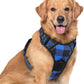 rabbitgoo Dog Harness No Pull with 2 Leash Clips, Adjustable Soft Padded, Reflective Oxford No Choke Pet Vest with Easy Control Handle for Large Dogs, Blue Plaid, XL