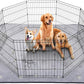 LOOBANI Washable Pee Pads for Dogs, Fast Absorption Reusable Puppy Pads, Waterproof Whelping Mats, Non Slip Training Pet Playpen Mat for Floor, Dog Crate, Grey, 1 Pack 65 x 48 in