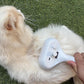Cat Steam Brush for Shedding, Self Cleaning Cat Brush with Water Spray, 3-in-1 Design for Massage, Hair Removal, and Cleaning, Steamy Brushes for Indoor Cats and Dogs (White)