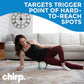 Chirp Wheel Foam Roller - Targeted Back & Neck Pain Relief, Muscle Massage, Trigger Point Therapy, High-Density Foam Tool for Physical Therapy, Stretching & Exercise, 500lbs Capacity, 6 Inch Mint