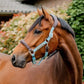 Horseware® Signature Competition Halter