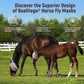 Horse Fly Mask, Adjustable Fly Masks for Horses with Ears, UV Protection from Insect Pests Comfort Mesh Without Nose Average Size Horses Accessories(Large)