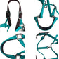 Majestic Ally Leather Halter with Matching Lead Rope for Horses – Leather Breakaway Crown - Adjustable Chin Strap – Rolled Throat Latch – Padded Noseband – Full (Hunter Green, Full)