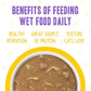 Weruva B.F.F. OMG - Best Feline Friend Oh My Gravy, Yahoo Yellows Variety Pack, 2.8oz Can (Pack of 12)