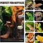 BNOSDM 3Pcs Reptile Climbing Branches Decor,Snake Climbing Branch,Gecko Climb Wood,Lizard Forest Branch,Tank Habitat Tree Trunk Decorations for Bearded Dragons,Chameleons,Spider,Frogs (L)