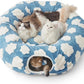 Lesure Large Cat Tunnel Bed - Cute Donut Bed for Indoor Cats with Washable Circle Cushion, Round Pet Peekaboo Cave Toy for Multi Kitten/Puppy/Rabbit, Large Blue