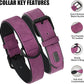 Didog Soft Padded PU Leather Dog Collar, Breathable and Adjustable Dog Collars for Small Dogs, Comfortable for Daily Walk, Purple, M Fit Neck 12-15"(13-22 lbs)