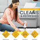 Pet Stain and Odor Remover - Pet Odor Eliminator for Home and Professional Use - Pet Urine Enzyme Cleaner to Break Up Tough Stains - Carpet Stain Remover for Dog Urine and Cat Pee, Feces, Fluids