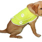 Dog Reflective Vest - Comfortable Jacket Safety Hunting, High Visibility for Dogs with Elastic Straps and Clasp Closure- Orange, XX-Large