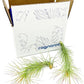 Air Plants - Tillandsia Funckiana, Large 5" - 2ct - Live Arrival Guaranteed - House Plants for Home Decor & Gift
