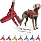 DOCO No-Pull Dog Harness Halter Reflective Easy-Control Harness for Training, Walking, and Preventing Pulling, Ideal for Medium Dogs(Red)