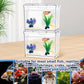 Mini Betta Fish Tank, Small Fish Bowl for Temporary Space, 0.2 Gallon Stackable Cube Tank with Artificial Plants and Gravels for Small Fish, Insect, Shrimp, Crab, Spider. (Pack-2)