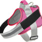 Bolux Dog Harness, No-Pull Reflective Dog Vest, Breathable Adjustable Pet Harness with Handle for Outdoor Walking - No More Pulling, Tugging or Choking (Fuchsia, Medium (Pack of 1))