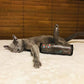 Pet Hair Remover Roller - Lint Roller for Pet Hair - Self-Cleaning Dog & Cat Hair Remover - Clean Furniture, Carpets, Bedding, Clothing and More. Grey